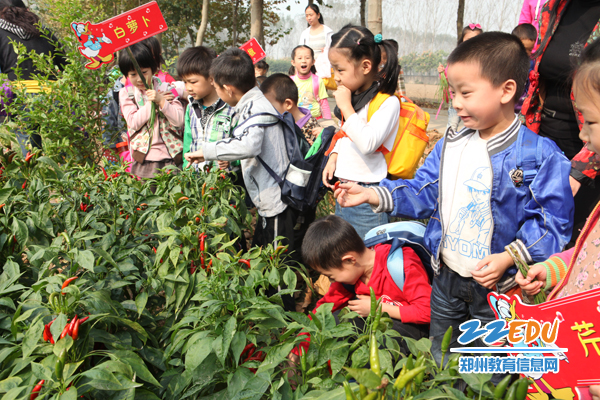 我市首个幼儿户外活动基地建成